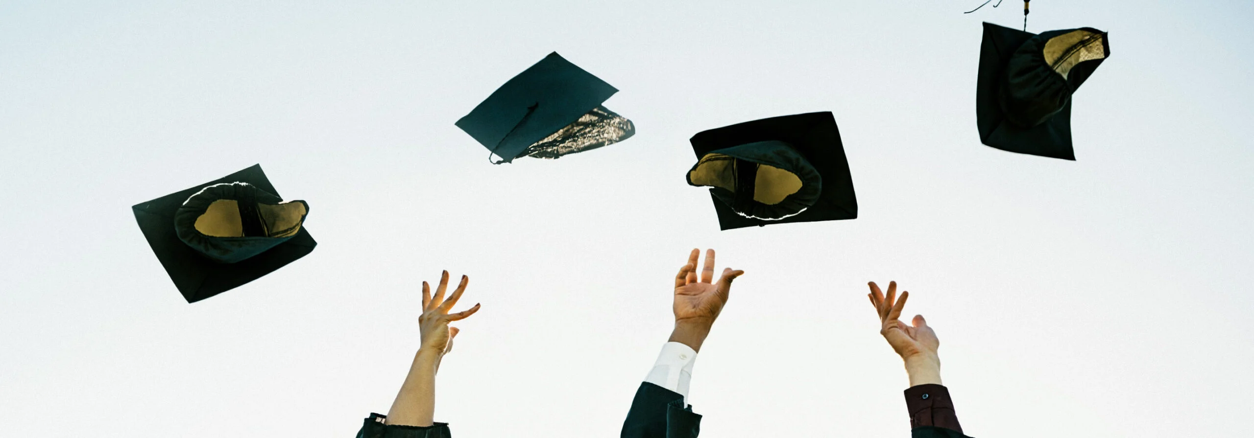 Education Verification